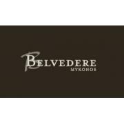 Belvedere logo